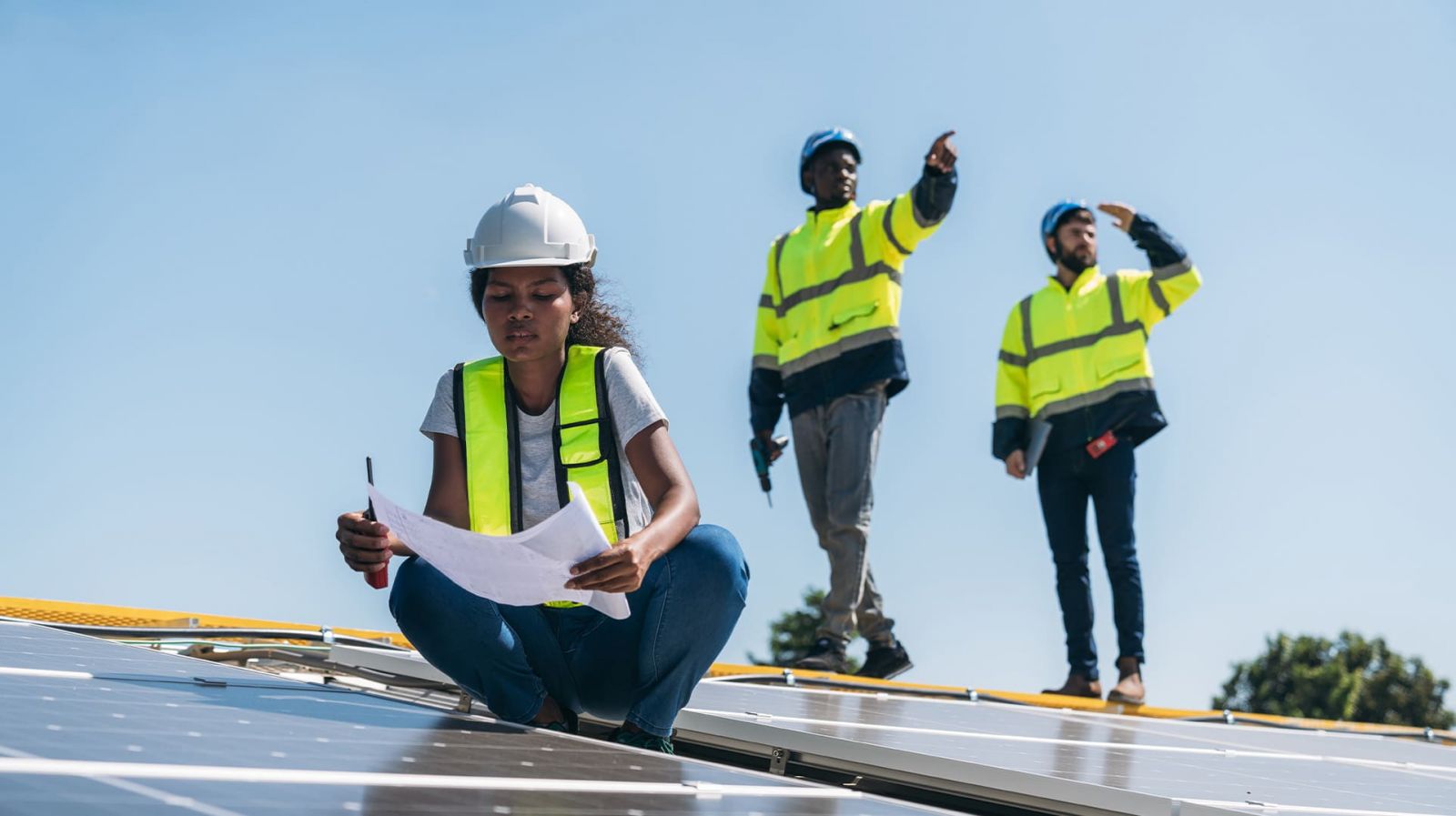 Article Aire+ - Réseau de franchise : comment adopter la construction durable ?