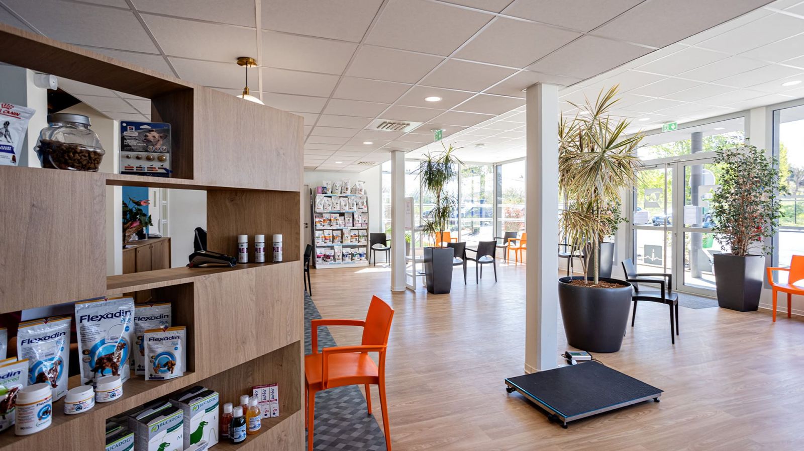 Article Aire+ - Concevoir une clinique vétérinaire moderne : nos solutions d’architecte