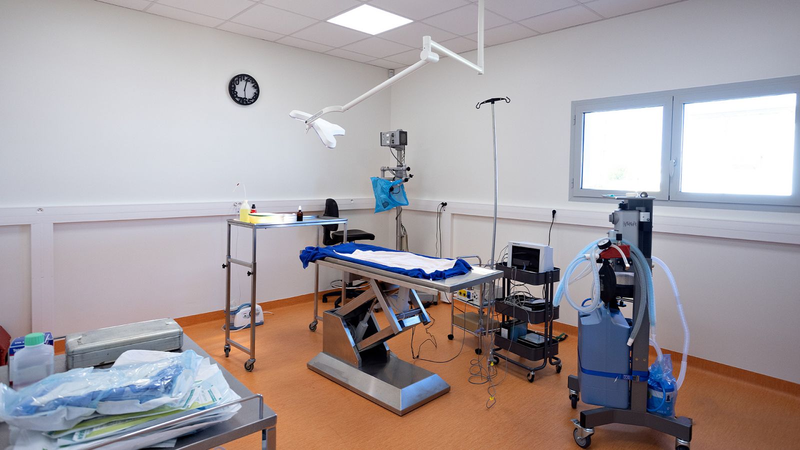 Article Aire+ - Zoom sur l’ergonomie en clinique vétérinaire : quand l’architecture facilite les soins