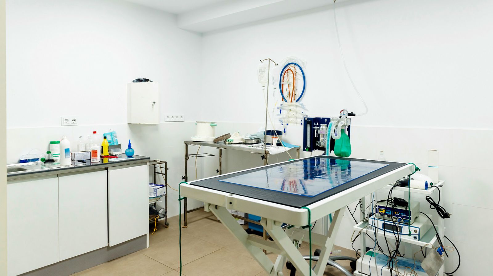 Article Aire+ - Checklist : rénover sa clinique vétérinaire sans interrompre l’activité