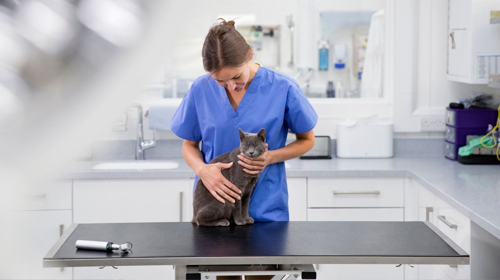 Article Aire+ - Rnover une clinique vtrinaire pour amliorer sa performance nergtique