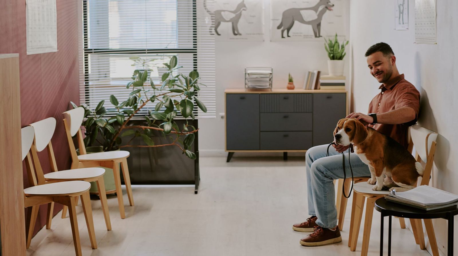 Article Aire+ - Agrandir sa clinique v�t�rinaire : extension, sur�l�vation ou construction neuve, comment choisir ?