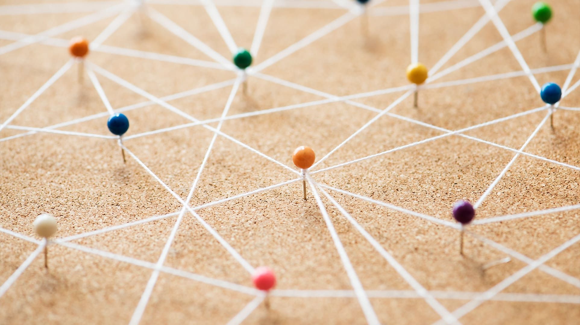 Article Aire+ - Rseau de franchise : comment adopter la construction durable ?
