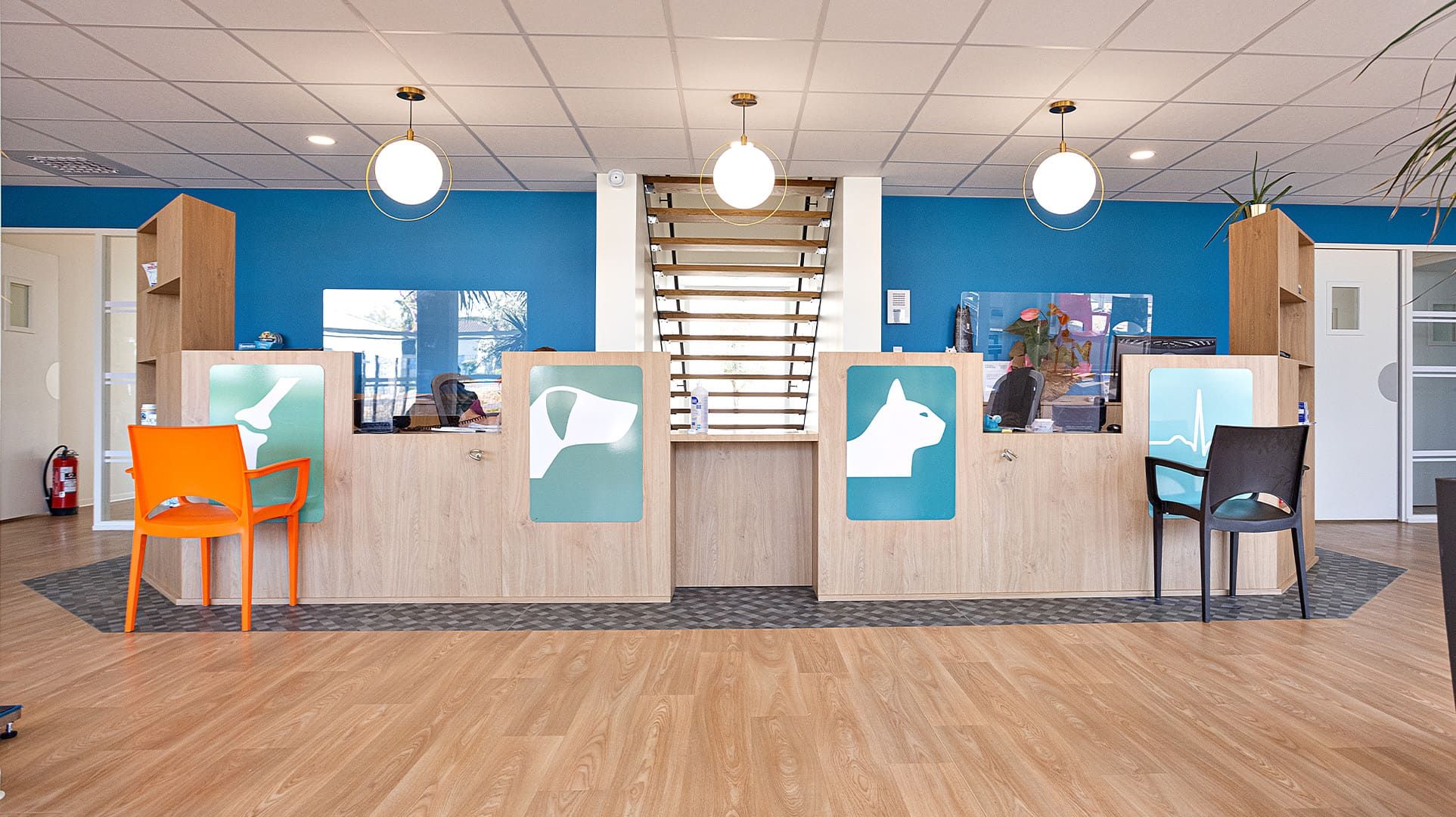Article Aire+ - Concevoir une clinique vtrinaire moderne : nos solutions d’architecte