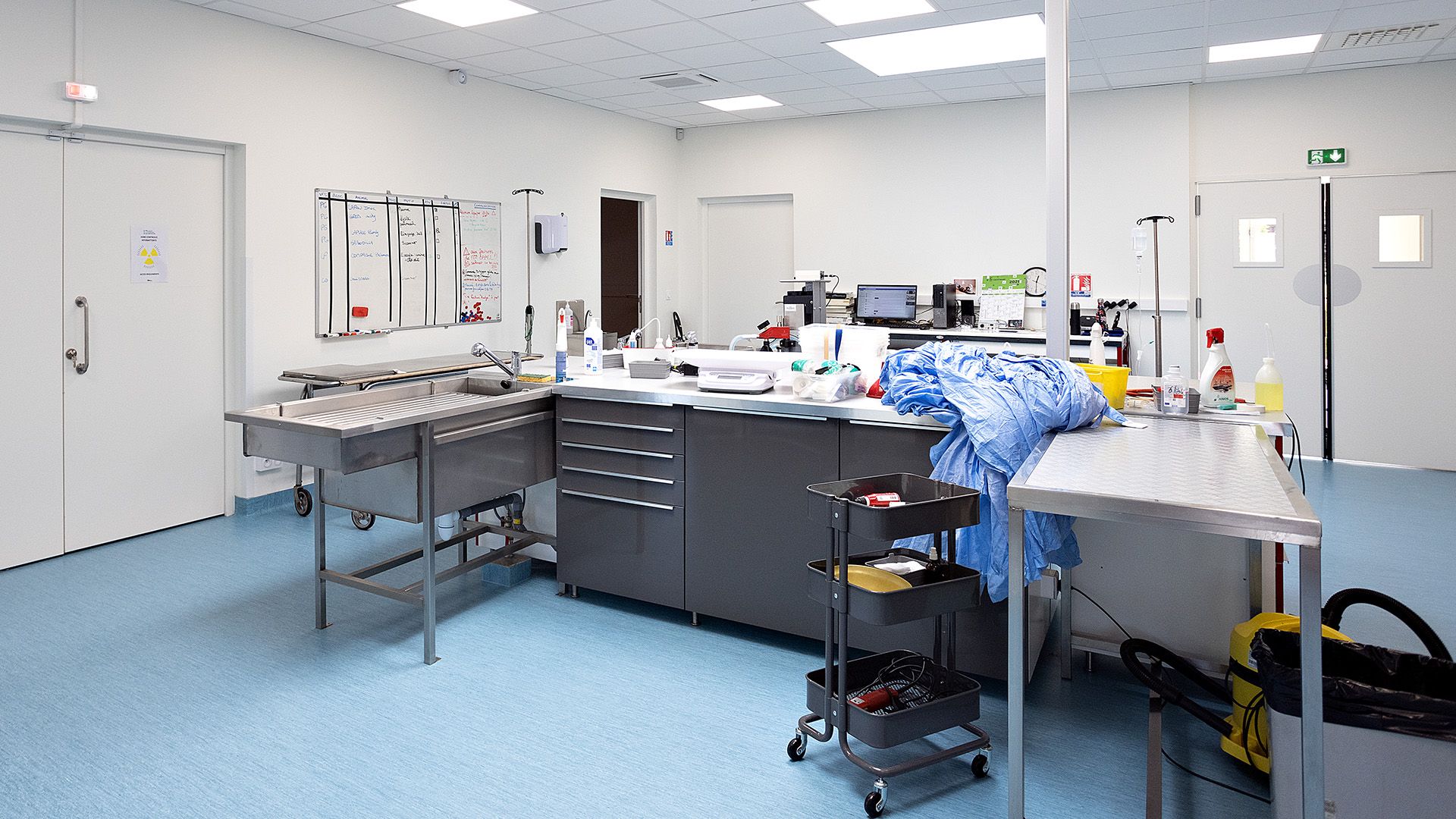 Article Aire+ - Zoom sur l’ergonomie en clinique vtrinaire : quand l’architecture facilite les soins