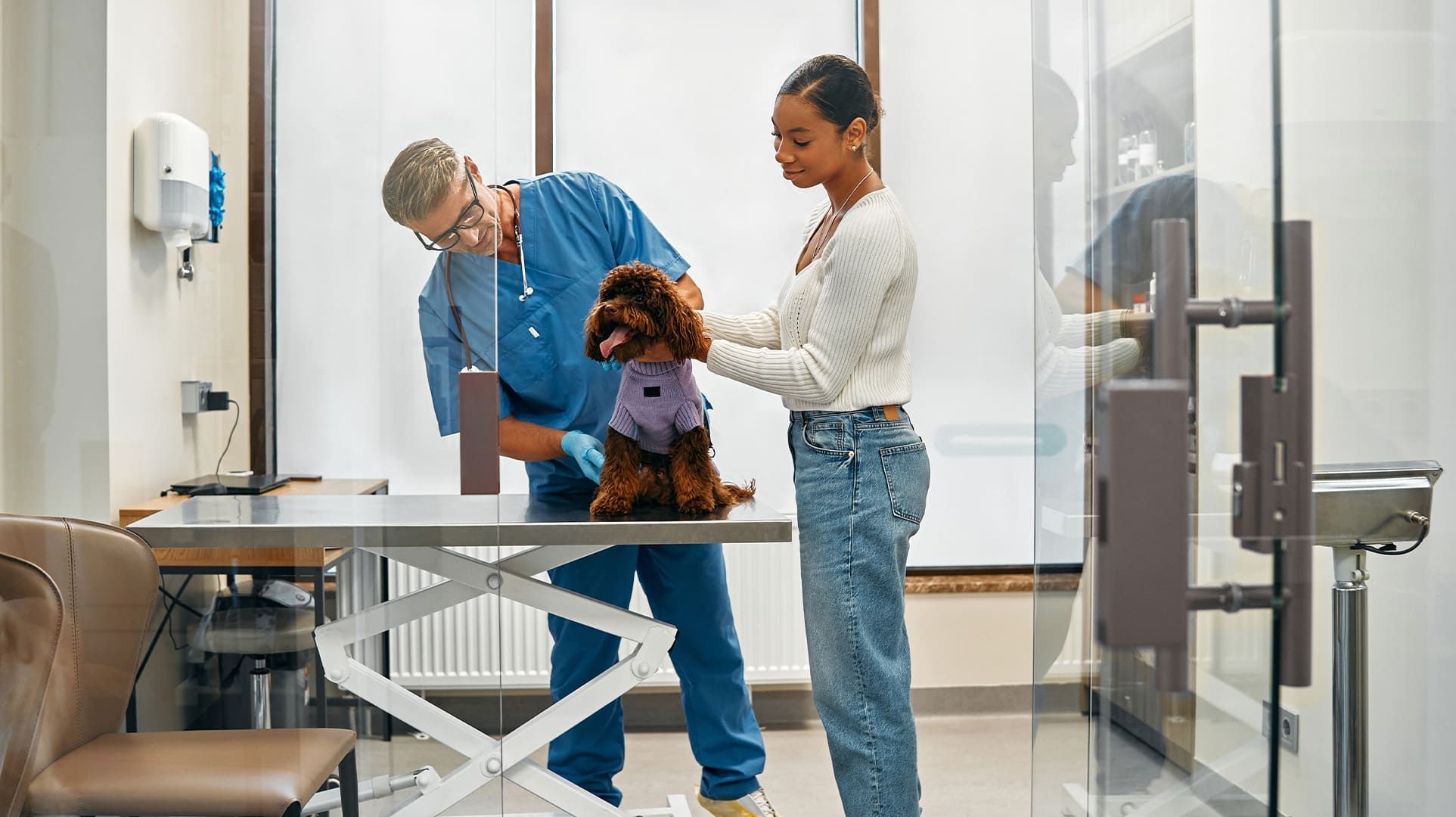 Article Aire+ - Rnover une clinique vtrinaire pour amliorer sa performance nergtique